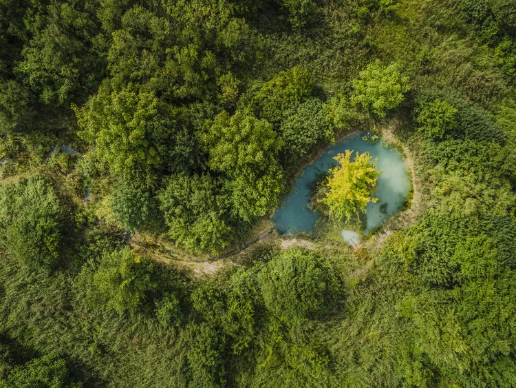 PORR Umweltrating TOP Bewertung