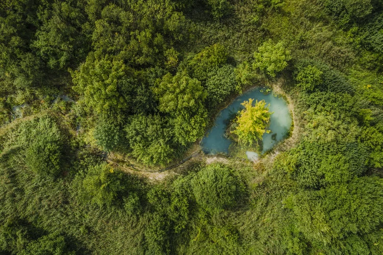 PORR Umweltrating TOP Bewertung