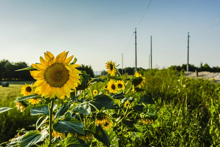 20211110 arge oebb ebreichsdorf tomas maly 12