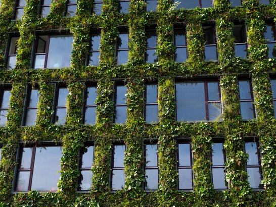 Das Bild zeigt die Fassade eines Gebäudes, das vollständig mit grünen Pflanzen bewachsen ist. Die Pflanzen wachsen rund um und zwischen den rechteckigen Fenstern, die in einem Raster aus Reihen und Spalten angeordnet sind. Dadurch entsteht ein gitterartiges Muster aus Architektur und Natur. Die Kombination verleiht dem Gebäude ein einzigartiges, ökologisch anmutendes Erscheinungsbild.